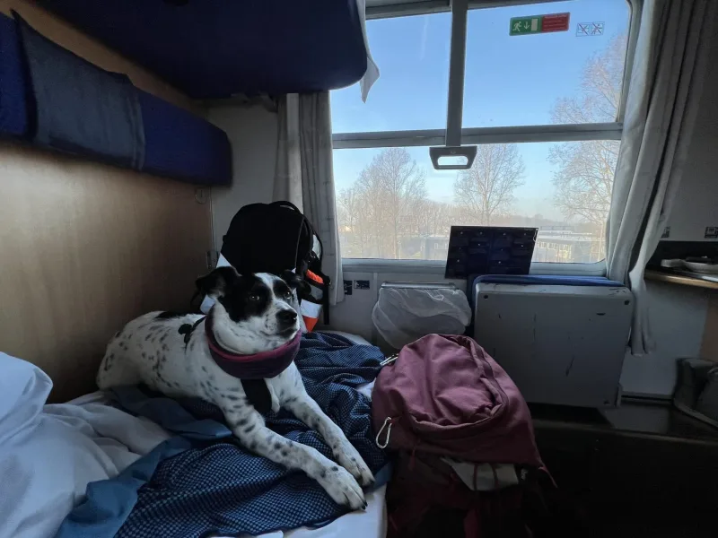 Die Hündin Missy der Persönlichen Assistentin kam mit auf die Reise Auf der Reise mit dem Nachtzug nach Venedig.