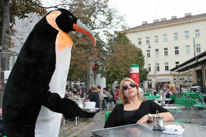 Persönliche Assistentin unterstützt bei einem Kunstprojekt und ist für den Transport. Sie hilft Kostüme anzuziehen.