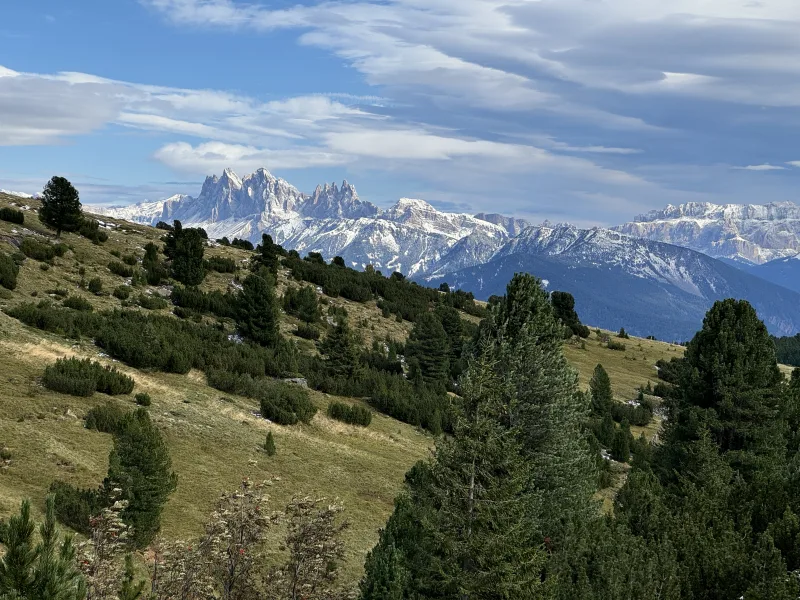 Langkofel von der Villanderer Alm gesehen Langkofel von der Villanderer Alm gesehen