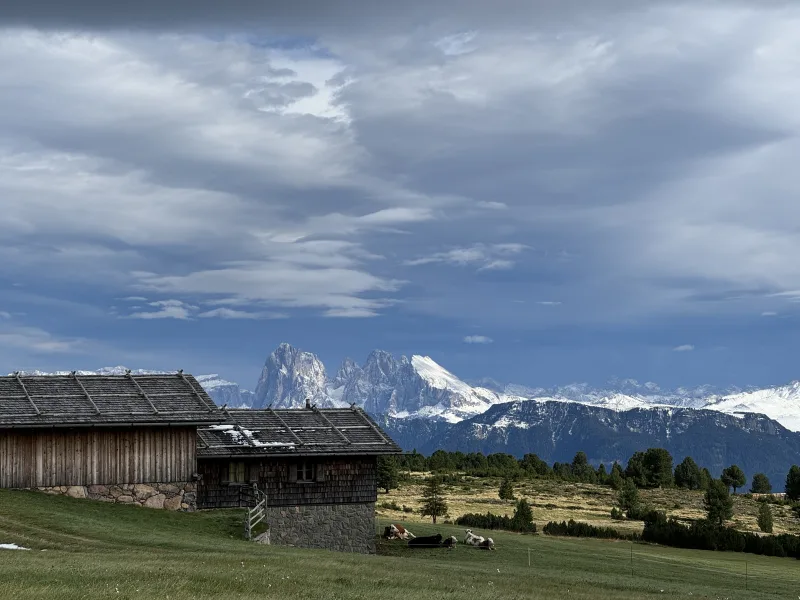 Villanderer Alm auf dem Weg zur Stöffelhütte mit Blick auf den Langkofel Villanderer Alm auf dem Weg zur Stöffelhütte mit Blick auf den Langkofel