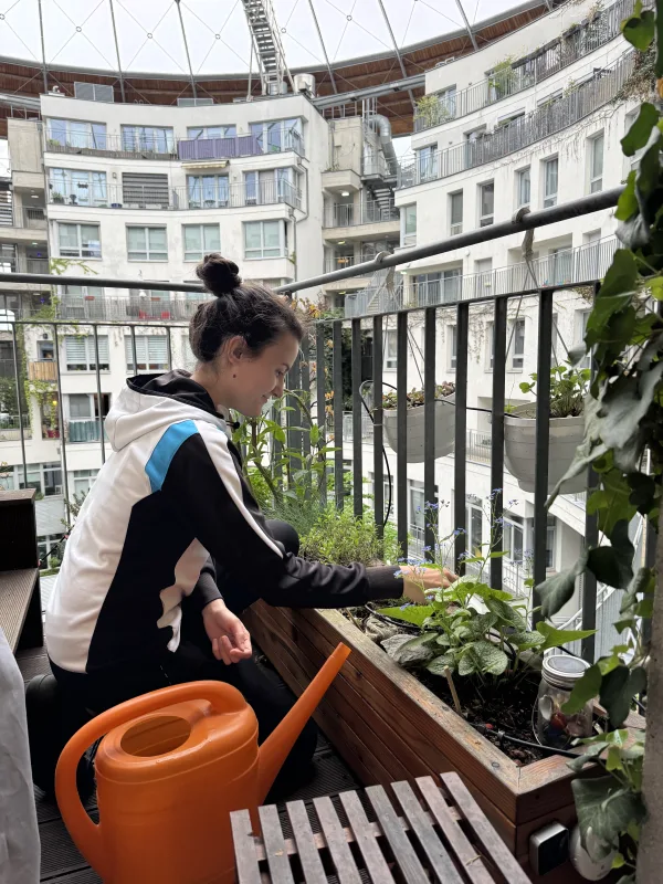 Blumen am Balkon pflanzen mit der Unterstützung der Persönlichen Assistenz