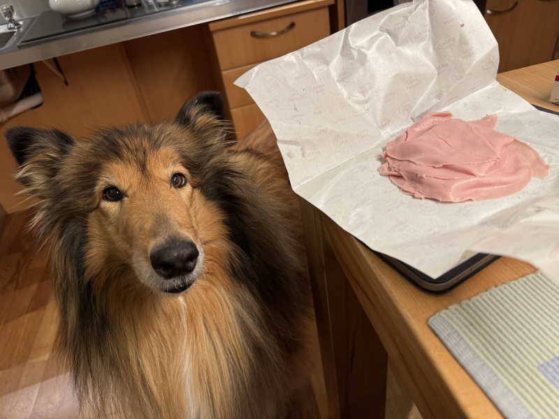 Da liegt die Wurst.